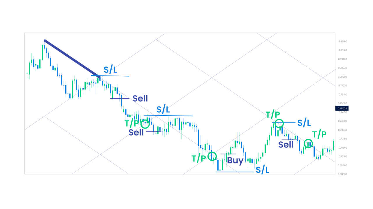 annotations for buy/sell positions, stop-loss (S/L), and take-profit (T/P) levels.